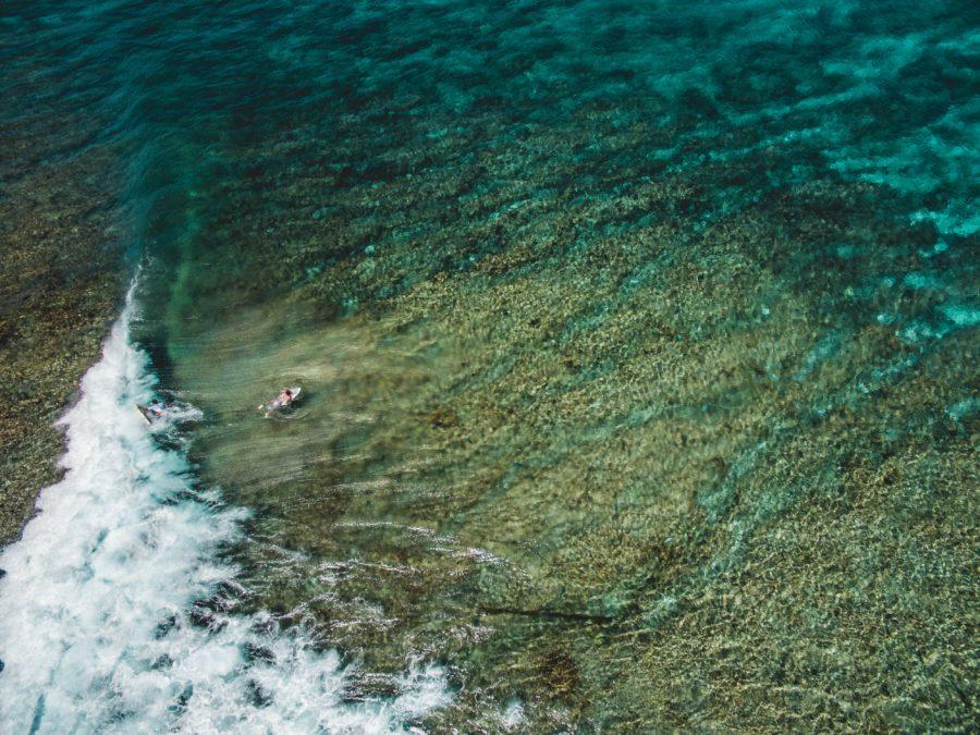 サンゴ礁（リーフブレイク）でのサーフィンを楽しむために必要なこと