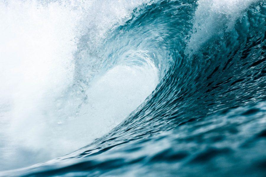 サーフィン留学で海外の波を堪能